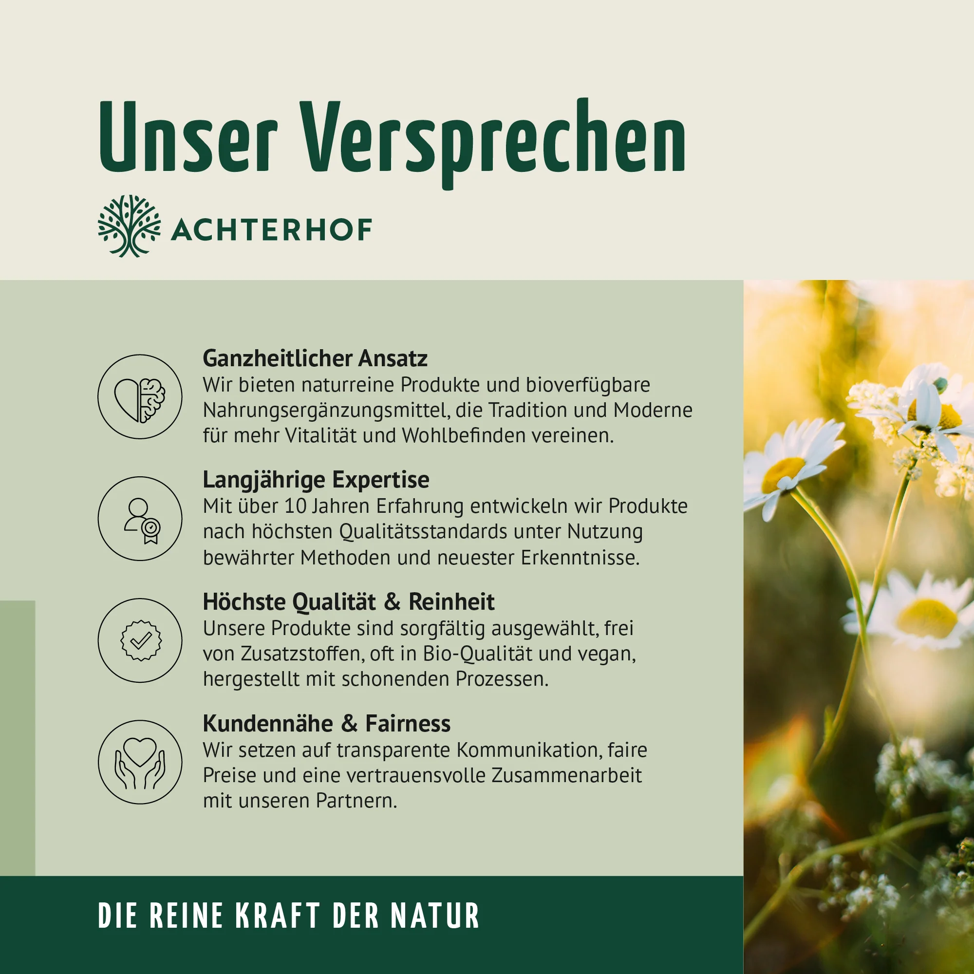 Amino Trio BCAA Kapseln (150 Kapseln) - Image 8