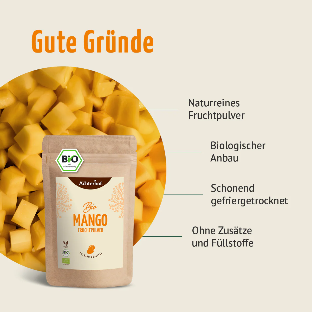 Bio Mango Fruchtpulver (100g) - Image 5