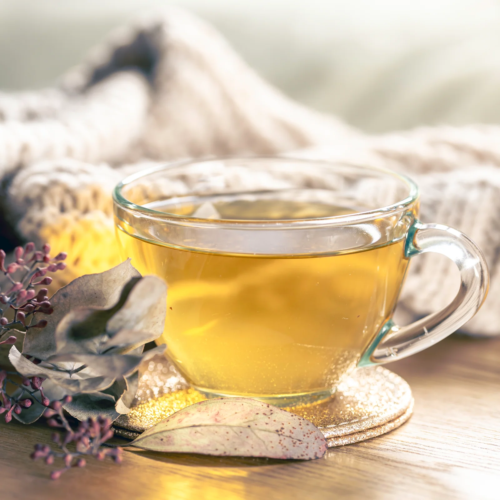 Birkenblätter geschnitten (250g) - Image 4