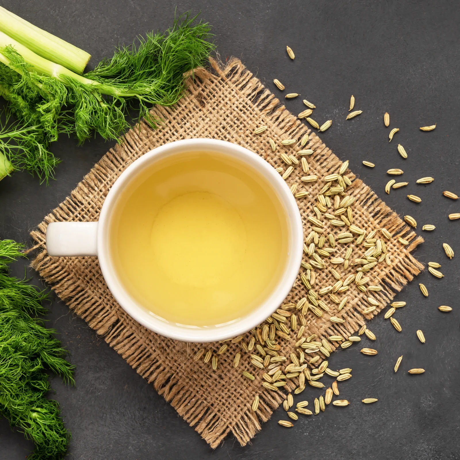 Fenchelsamen ganz Bio (250g) - Image 5