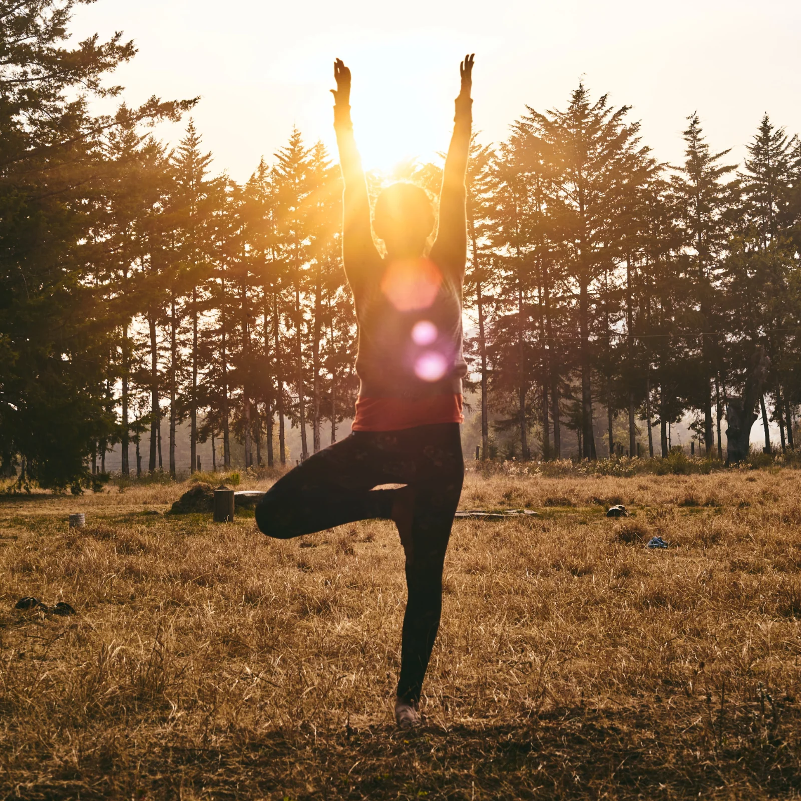 Goldene Milch Mischung 4er Bio Set - Image 13