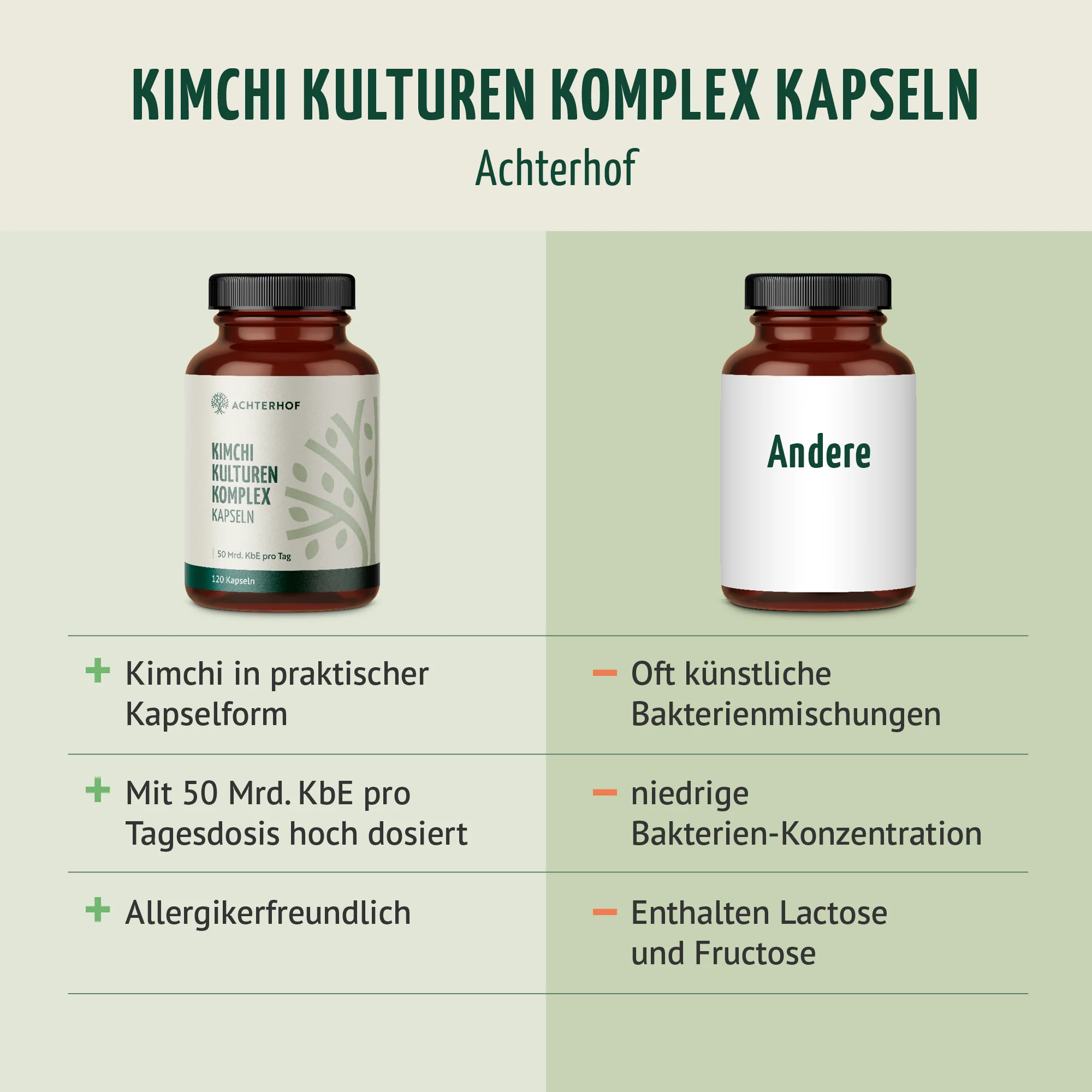 Kimchi Kulturen Komplex (120 Kapseln) - Image 5