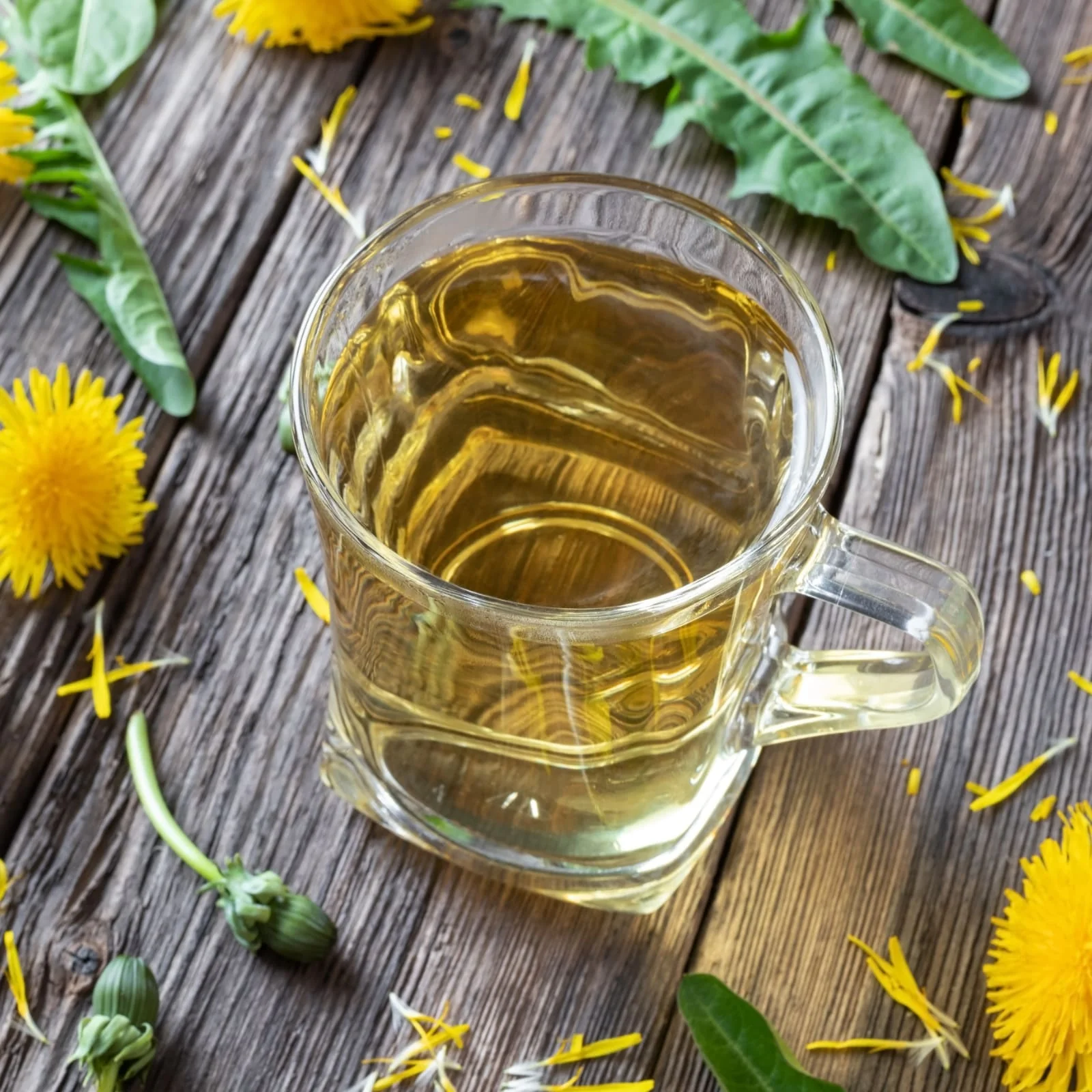 Löwenzahnblätter geschnitten Bio (100g) - Image 5