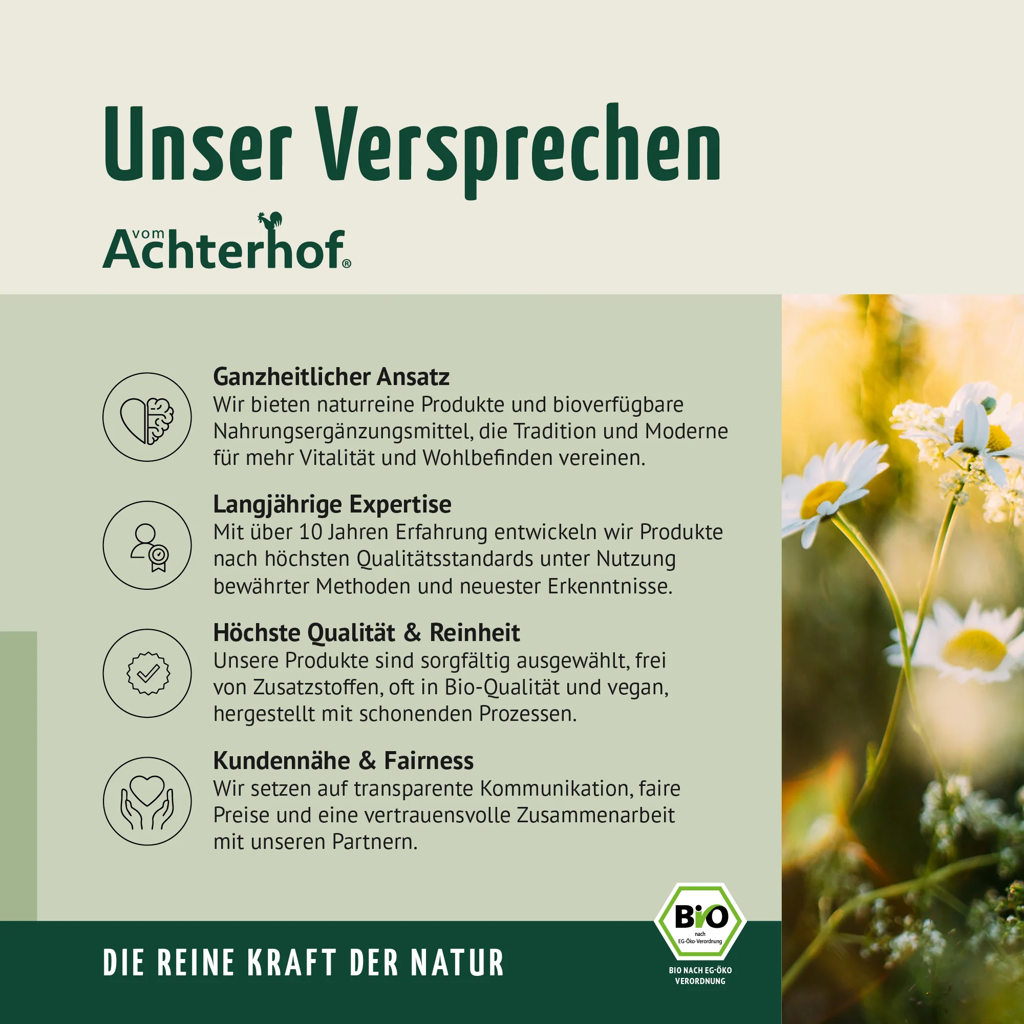 Saftgold Magnesium Gummies Exotische Früchte (60 Stück) - Image 11