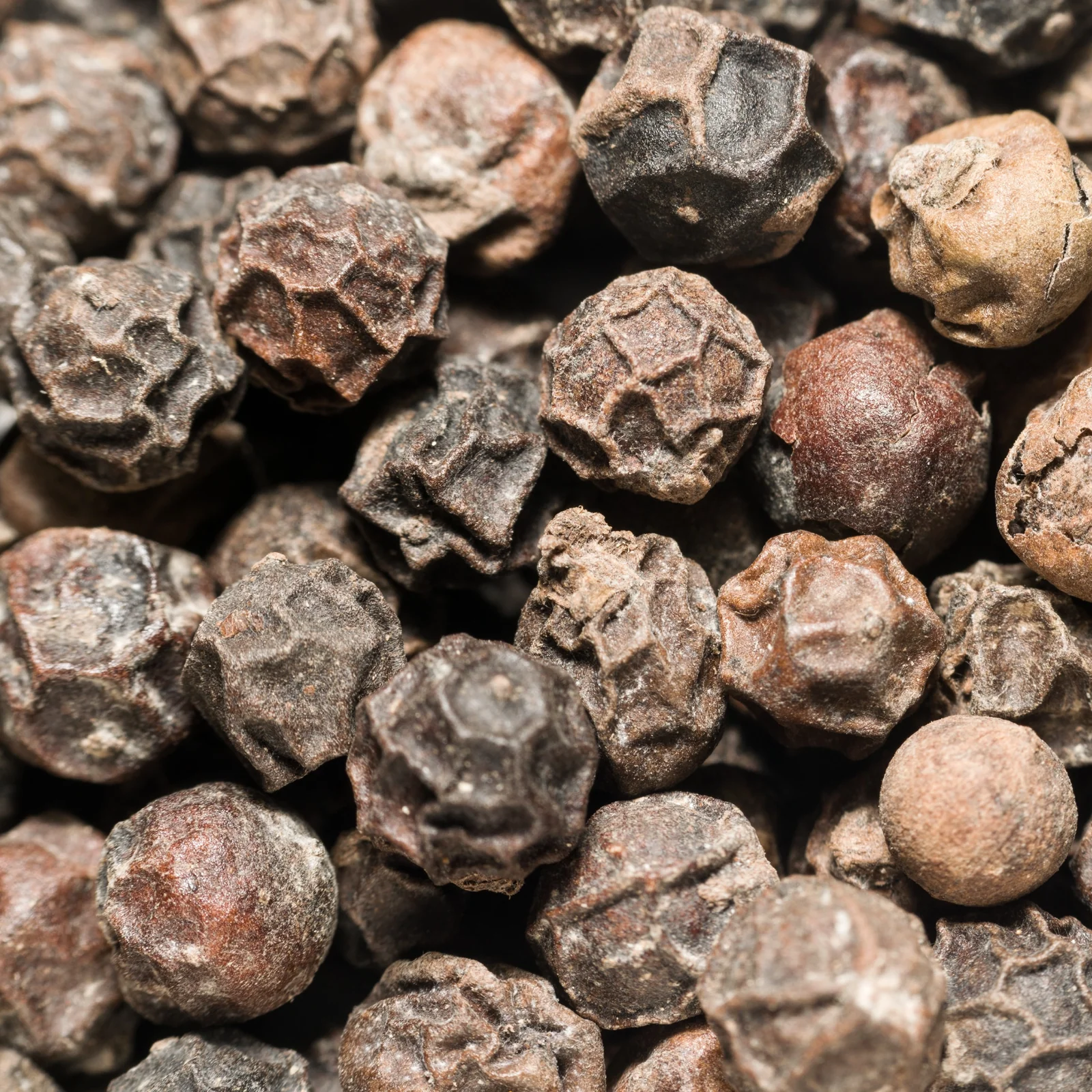 Pfeffer schwarz ganz Bio (100g) - Image 7