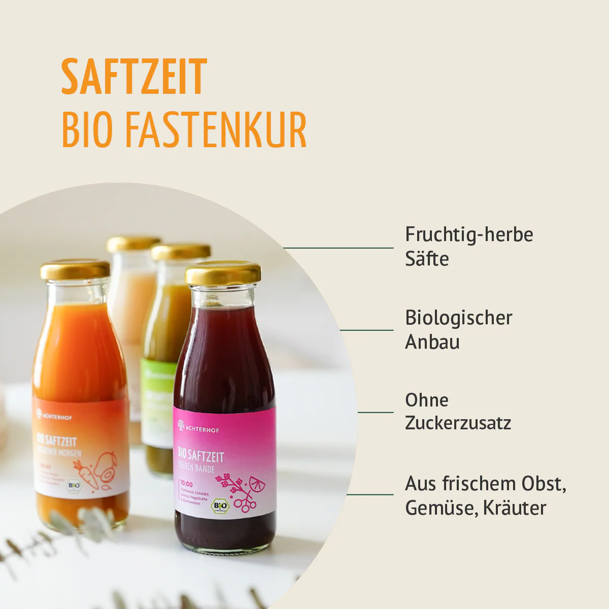 Saftzeit Bio Fastenkur 1-7 Tage (6 Flaschen pro Tag) - Image 3