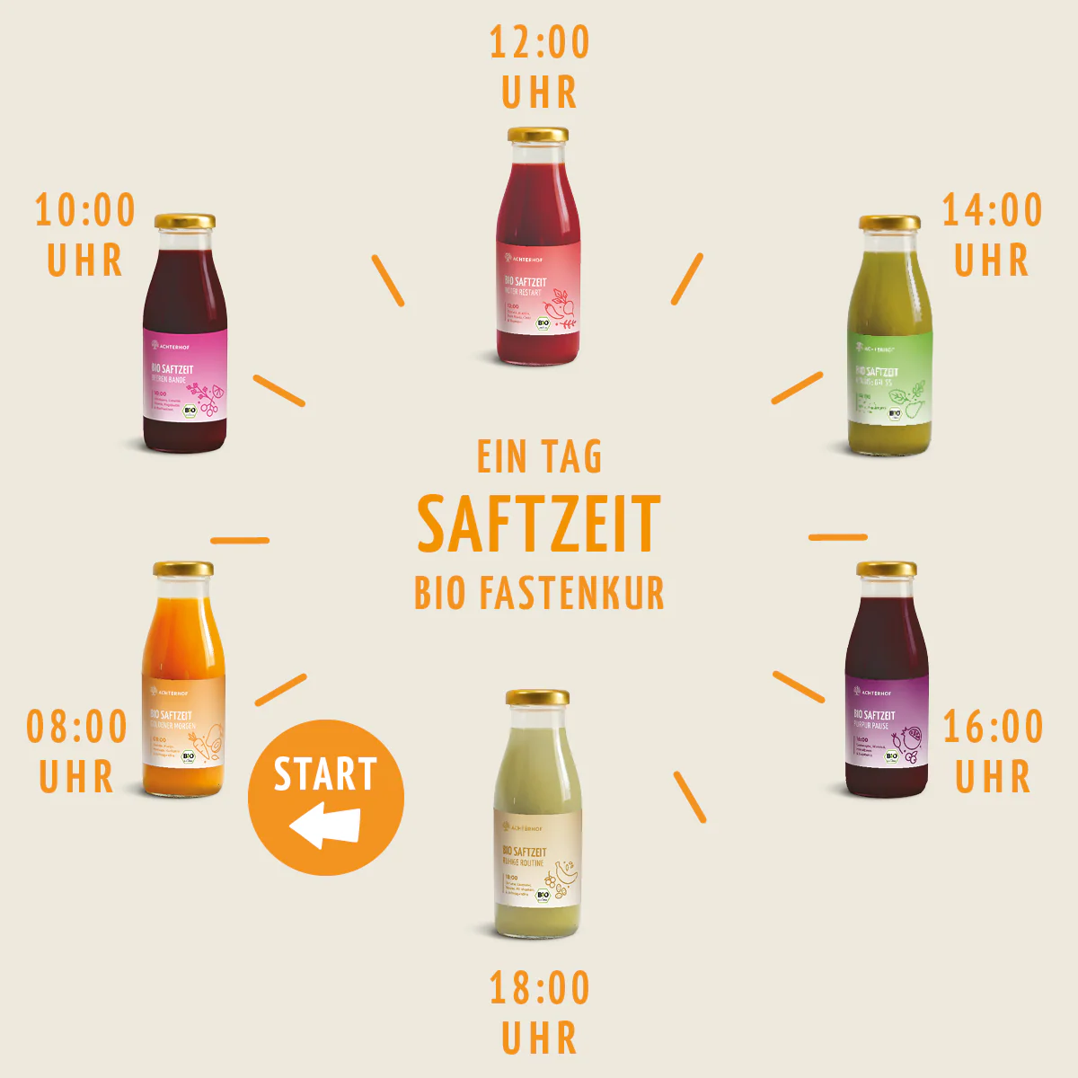 Saftzeit Bio Fastenkur 1-7 Tage (6 Flaschen pro Tag) - Image 6