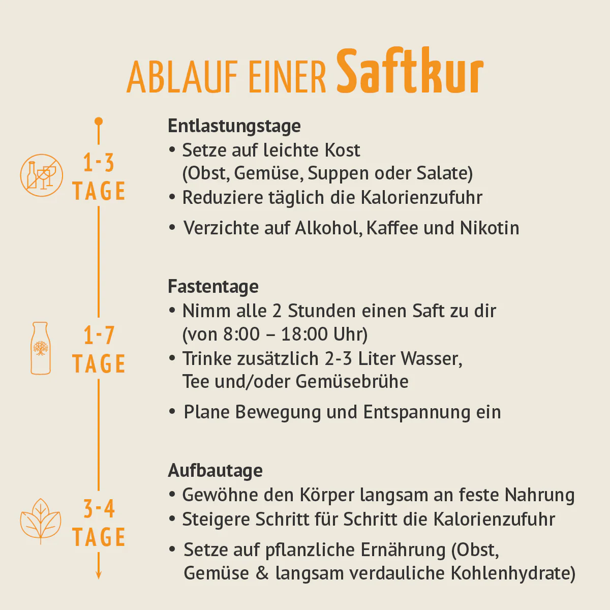 Saftzeit Bio Fastenkur 1-7 Tage (6 Flaschen pro Tag) - Image 8
