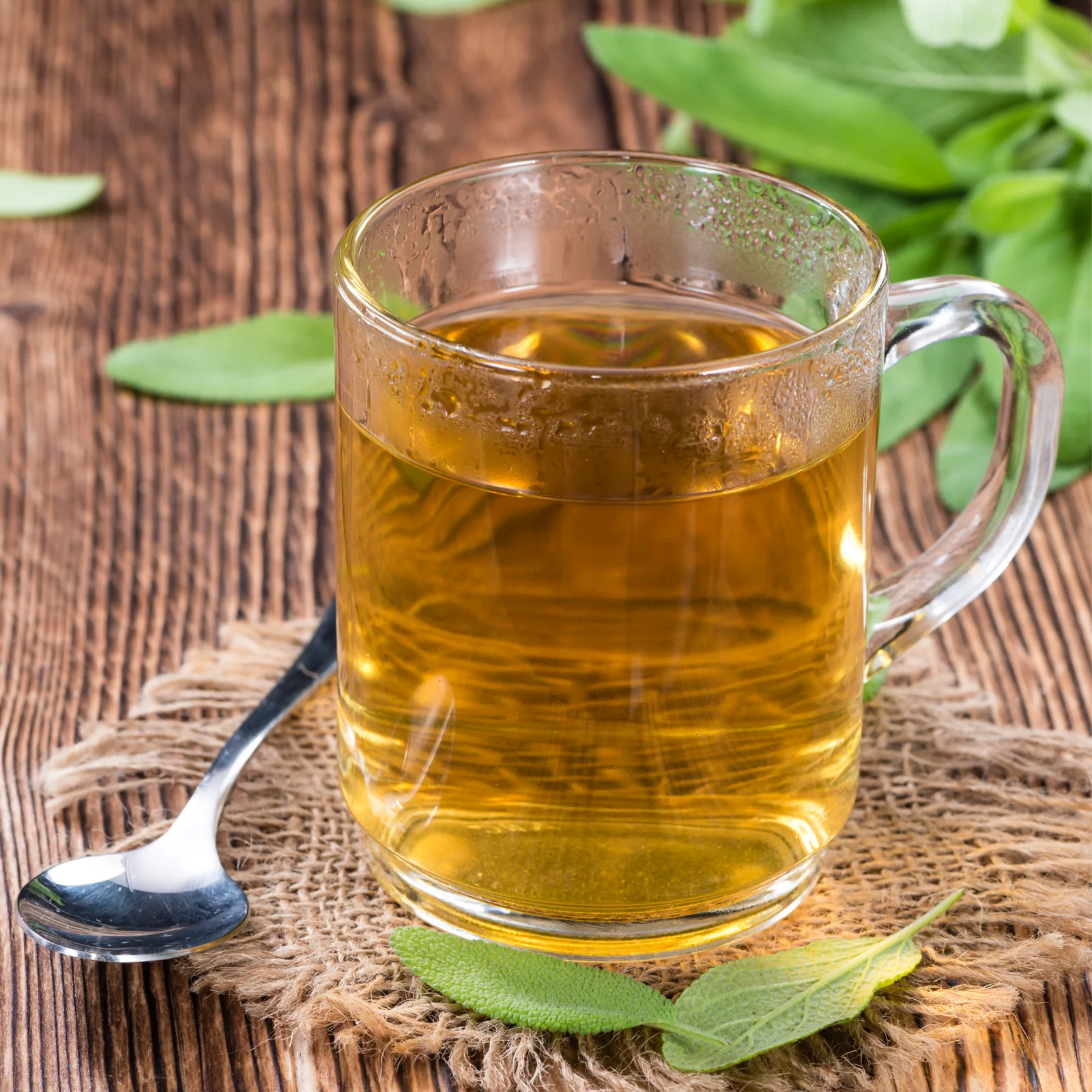 Salbei geschnitten Bio (1000g) - Image 3