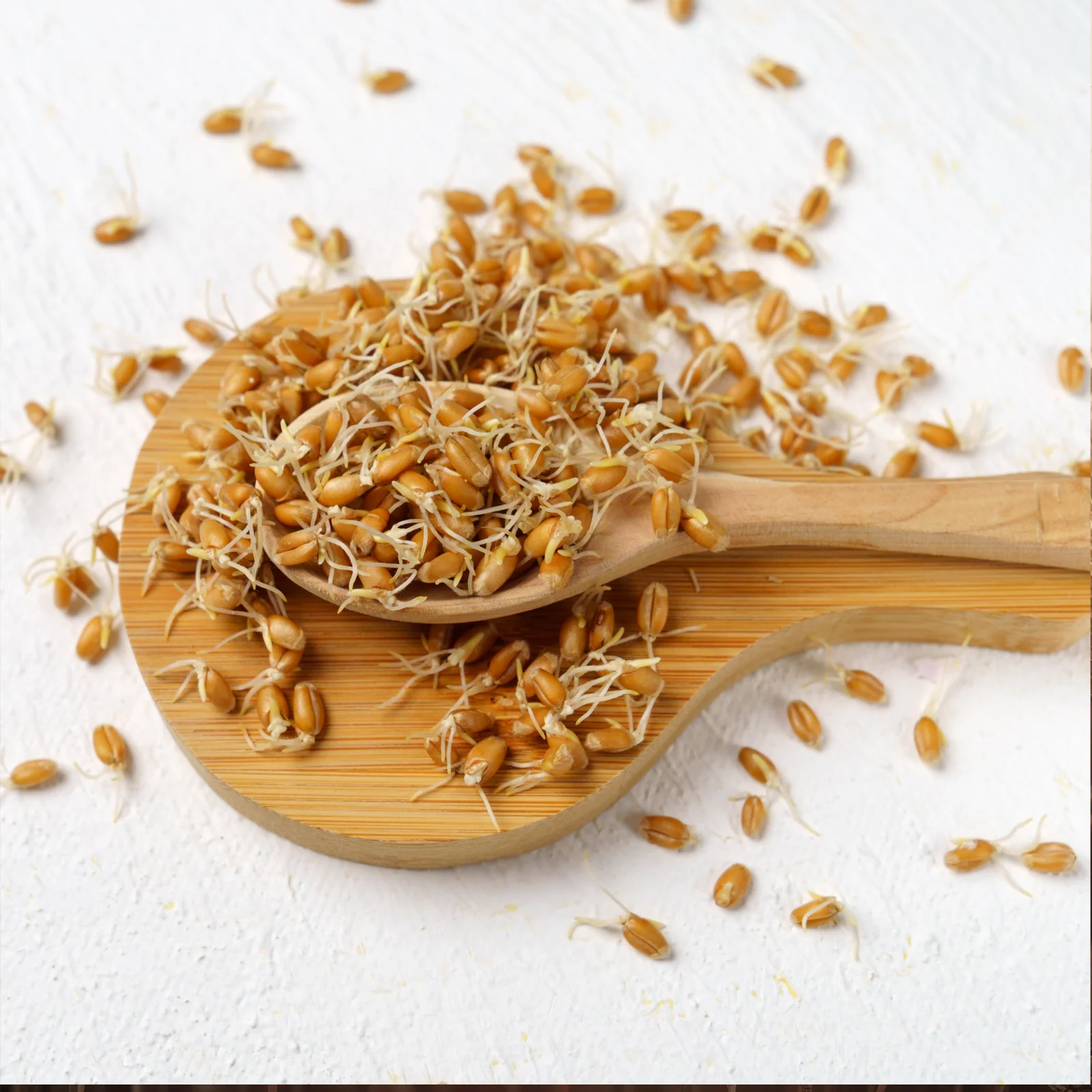 Spermidin aus Weizenkeimen Bio (250g) - Image 5