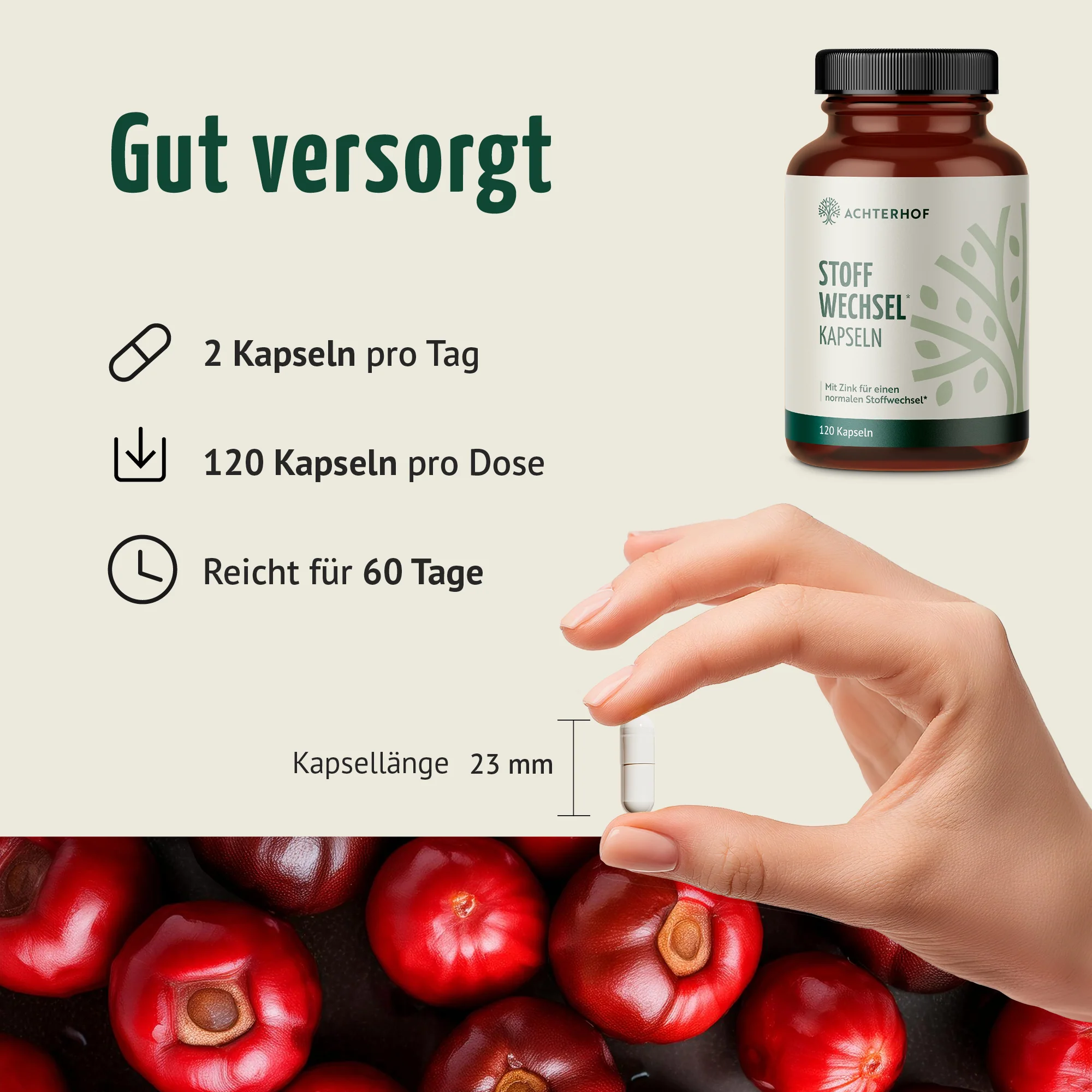 Stoffwechsel Kapseln (120 Kapseln) - Image 4